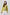 Drawstring Collar Blouse - Lime