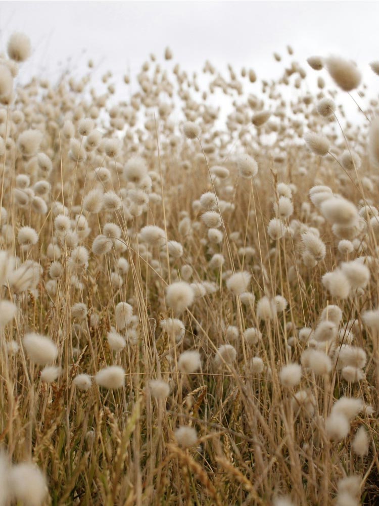 about-us-banner-mobile